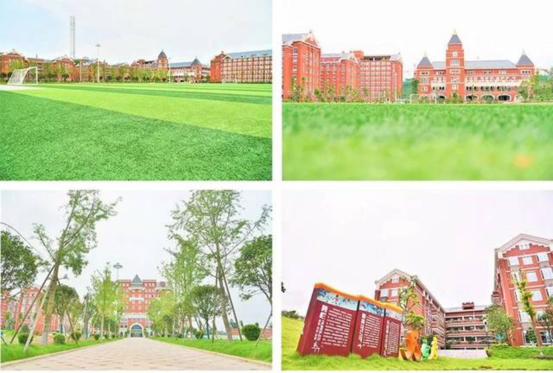 宜宾市叙州区幼儿园：春暖花开的学习乐园