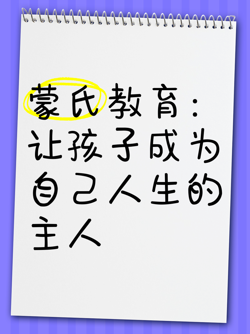 叙州区幼儿教育：未来小苗的摇篮
